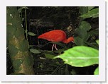 Dierentuin Burgers  Zoo 096 * 3648 x 2736 * (4.13MB)